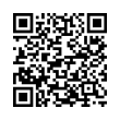 QR Code (код быстрого отклика)