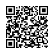 QR Code (код быстрого отклика)