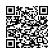 QR Code (код быстрого отклика)