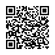 QR Code (код быстрого отклика)